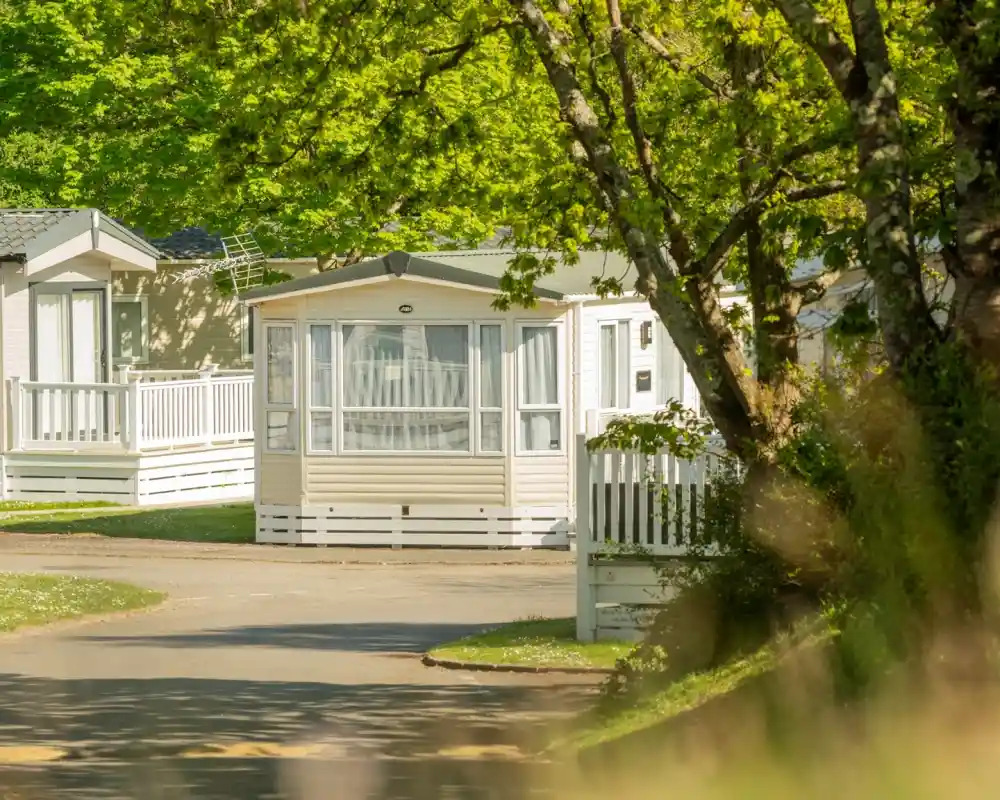 A row of holiday homes nestled among lush green trees, with a clear blue sky in the background. One home features large windows and a white railing. The pathway is lined with shrubs and grass.