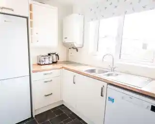 A modern kitchen featuring white cabinetry and a wooden countertop. Stainless steel appliances include a refrigerator and a toaster. A sink with a mixer tap is positioned next to the window, which has a bird-patterned valance. A dishwasher is visible beside the sink.