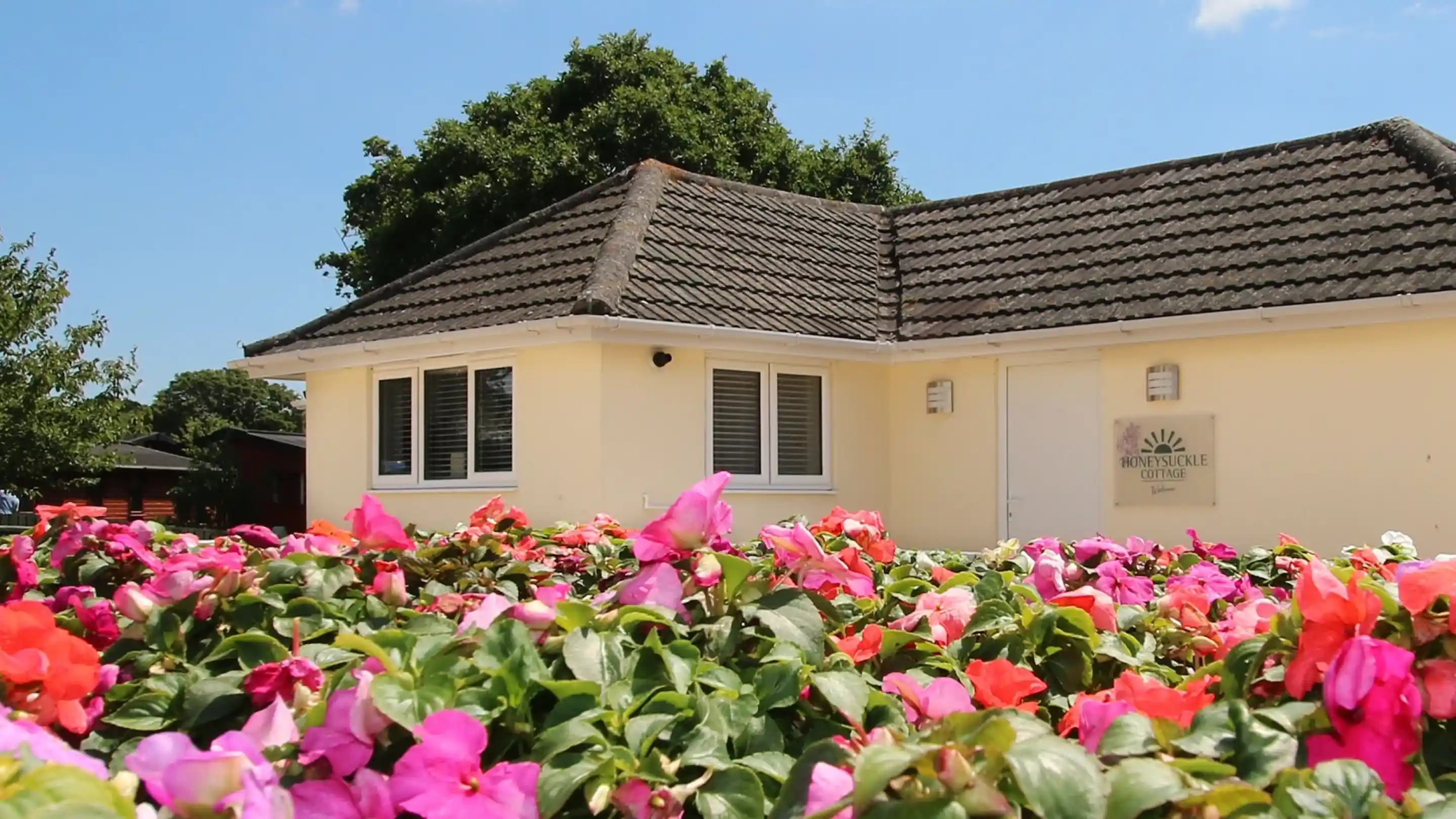 A charming yellow building with a sloped roof is surrounded by vibrant pink and green flowers. A sign reading "Rosewood Lodge" is visible on the wall, and a lush tree stands in the background under a clear blue sky.
