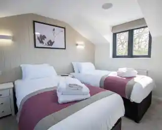 A cozy guestroom featuring two single beds with white linens and gray throws. A small nightstand is beside one bed, and a large window allows natural light to fill the space. Wall lights provide additional illumination, and a framed artwork hangs on the wall.