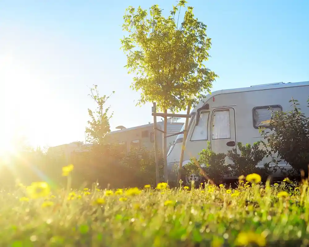 A sunny scene featuring a grassy area with yellow dandelions, a small tree, and a parked caravan in the background. Sunlight creates a warm glow, illuminating the landscape.