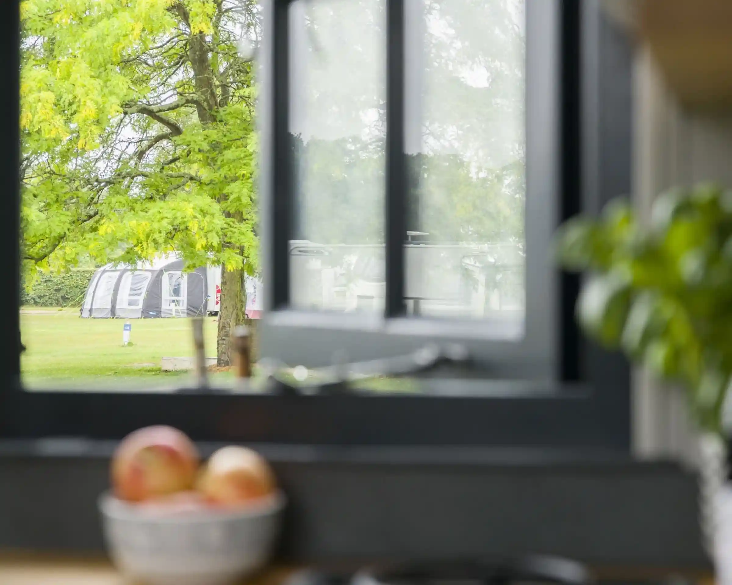 A view through a black window frame, showing a lush green tree and a camping area in the background. A bowl of apples is visible in the foreground.