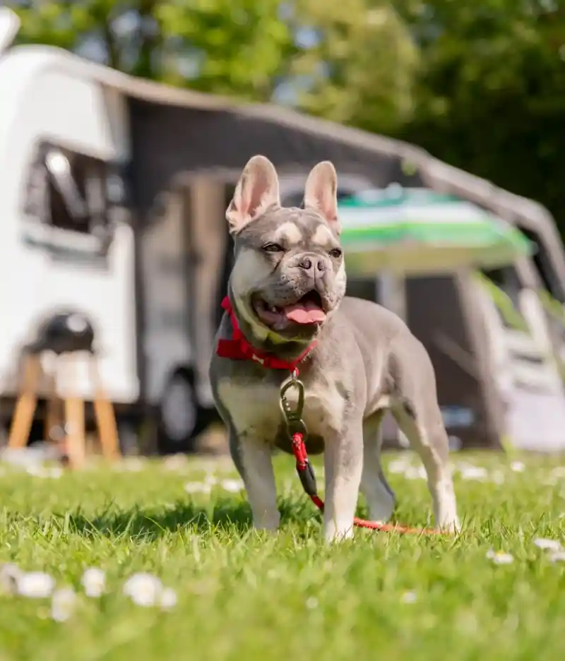 A woman and a man relax on a couch, laughing and enjoying time with a smiling boy who is sitting between them. The boy holds a drink while the woman is looking at him; they are in a bright room with greenery visible outside.