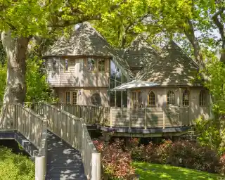 A charming wooden house with a unique, rounded architecture sits among lush greenery. It features a wraparound deck, large windows, and a sloping roof. A wooden walkway leads to the entrance, surrounded by vibrant plants and trees.