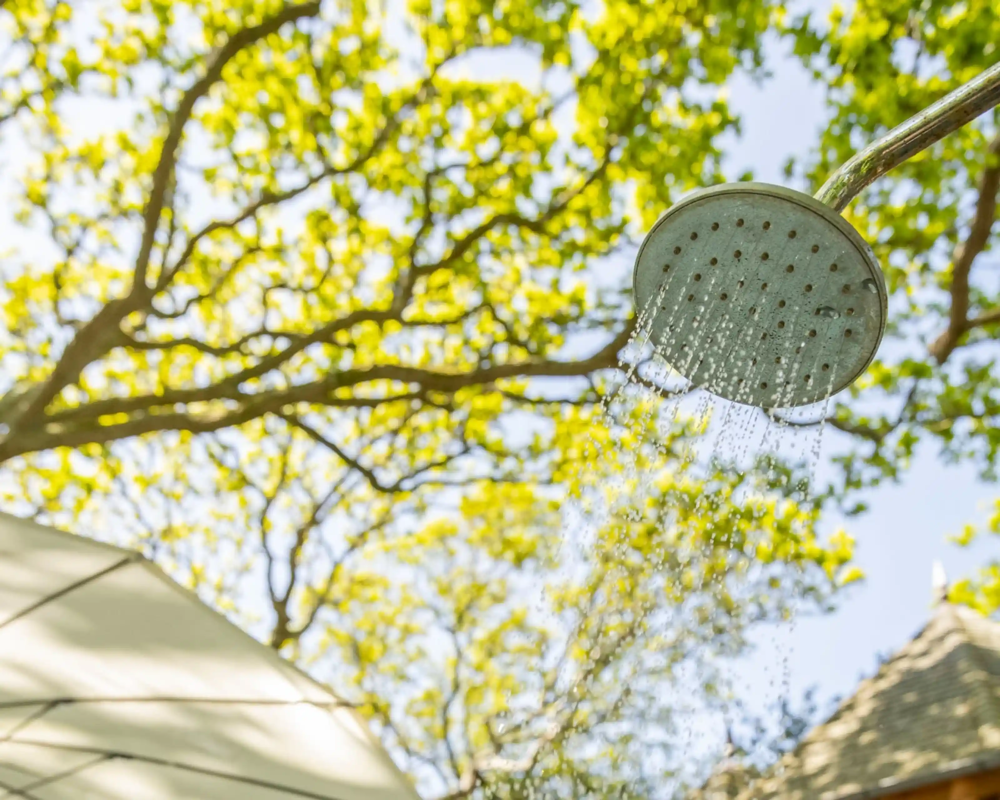 A showerhead with water cascading down, surrounded by lush green foliage and a bright blue sky in the background.