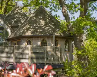 A charming treehouse with a shingled roof and wooden balcony nestled among vibrant green trees.