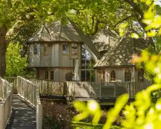 A unique wooden treehouse with multiple conical roofs surrounded by lush greenery. A wooden walkway leads up to the treehouse, which features large windows and a spacious deck.