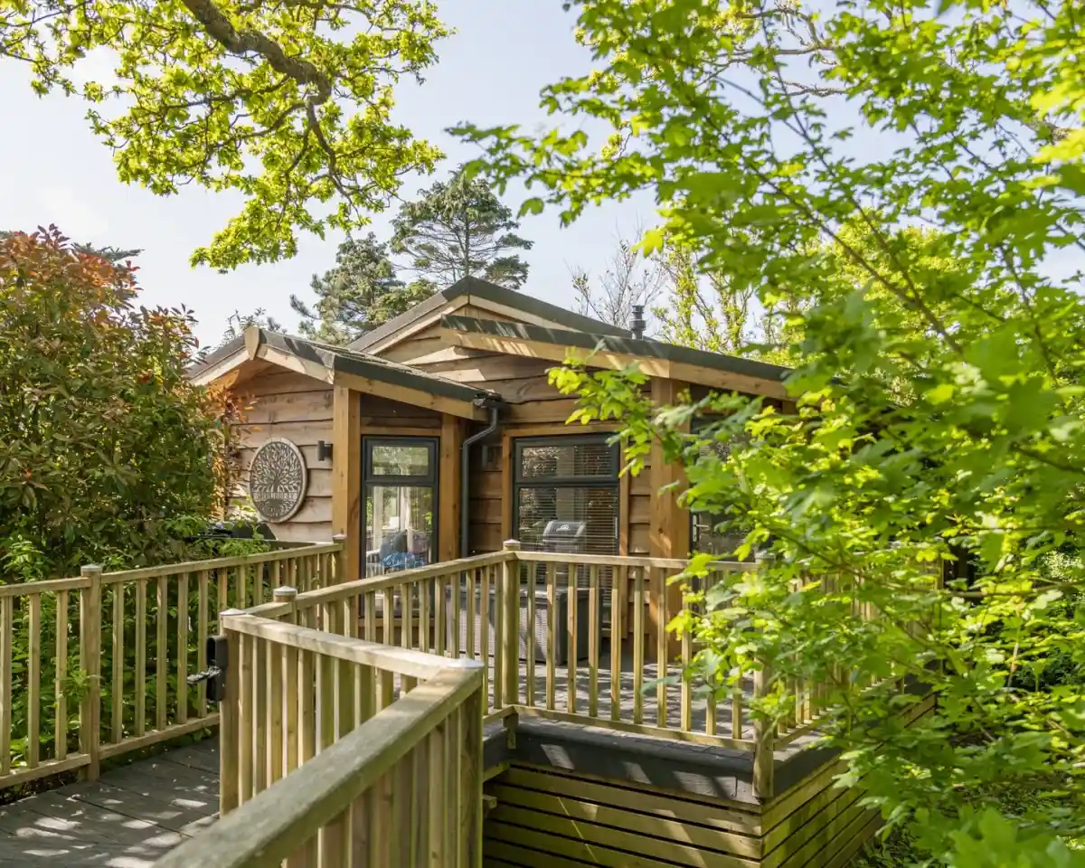 A wooden cabin surrounded by lush green foliage. A deck leads to the entrance, with a mix of trees and shrubs framing the scene against a clear blue sky.