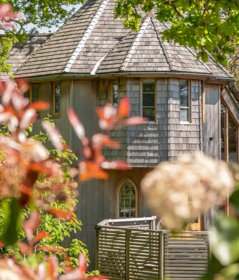 A woman and a man relax on a couch, laughing and enjoying time with a smiling boy who is sitting between them. The boy holds a drink while the woman is looking at him; they are in a bright room with greenery visible outside.