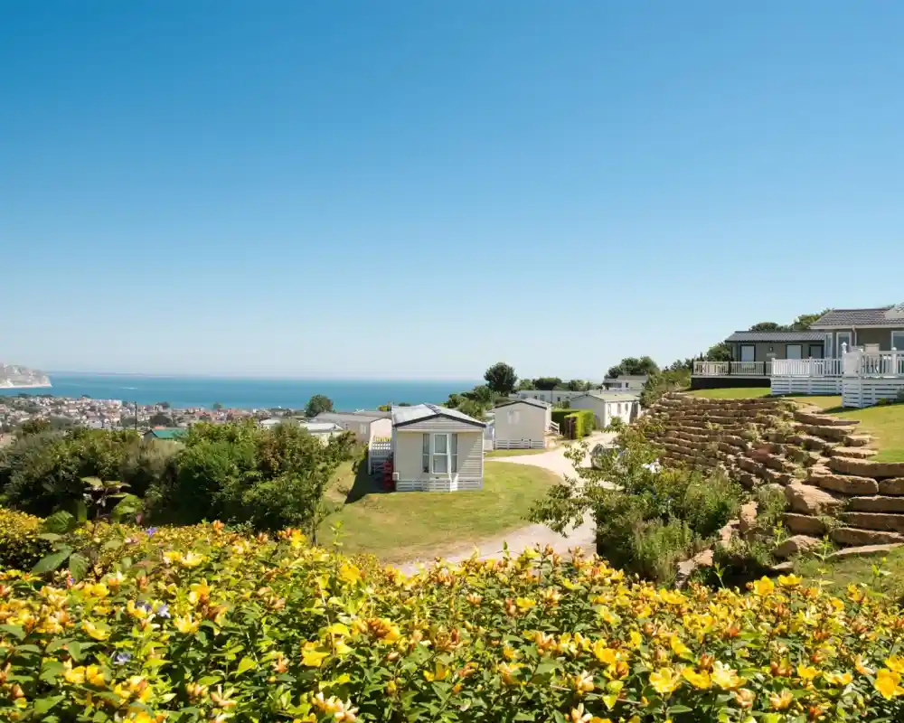 A scenic view of a coastal campsite featuring neatly arranged cabins surrounded by vibrant yellow flowers. The ocean glistens in the background under a clear blue sky.