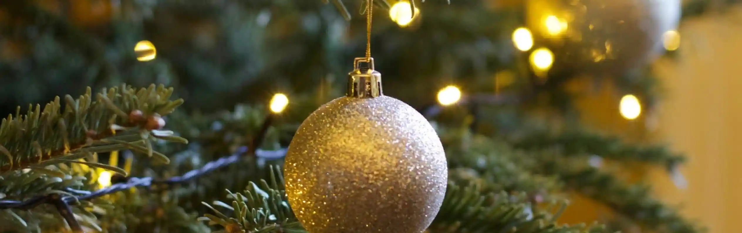A close-up of a Christmas tree branch adorned with golden glittery ornaments and twinkling lights. The background is softly blurred, enhancing the festive atmosphere.