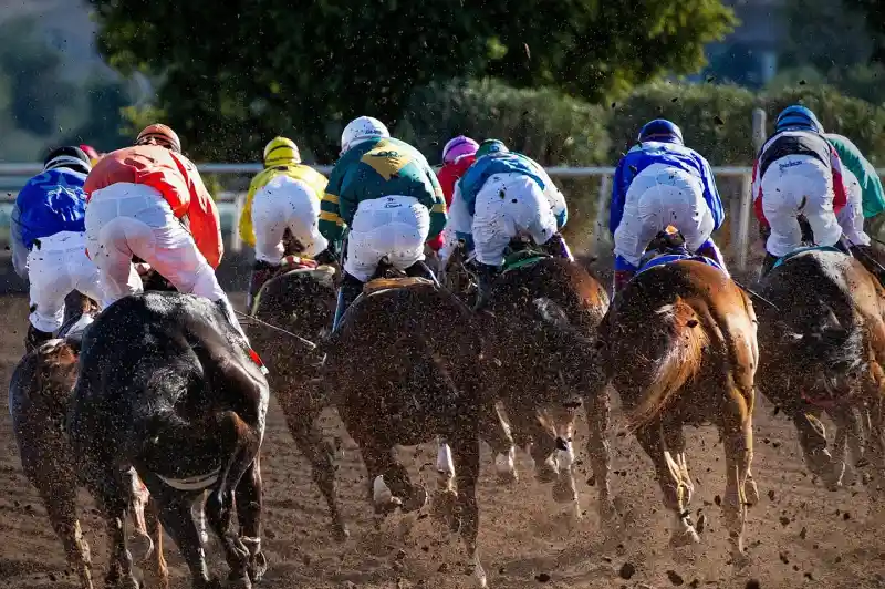 Jockeys in colorful silks riding galloping horses, kicking up dirt as they race down a track. The view is from behind, showcasing the dynamic movement and intensity of the horse race.