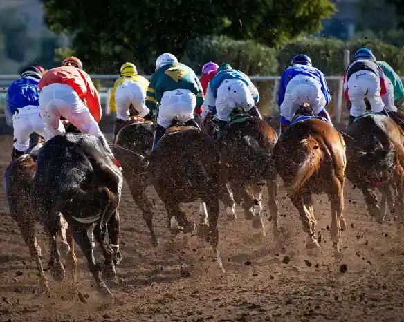 Jockeys in colorful silks riding galloping horses, kicking up dirt as they race down a track. The view is from behind, showcasing the dynamic movement and intensity of the horse race.