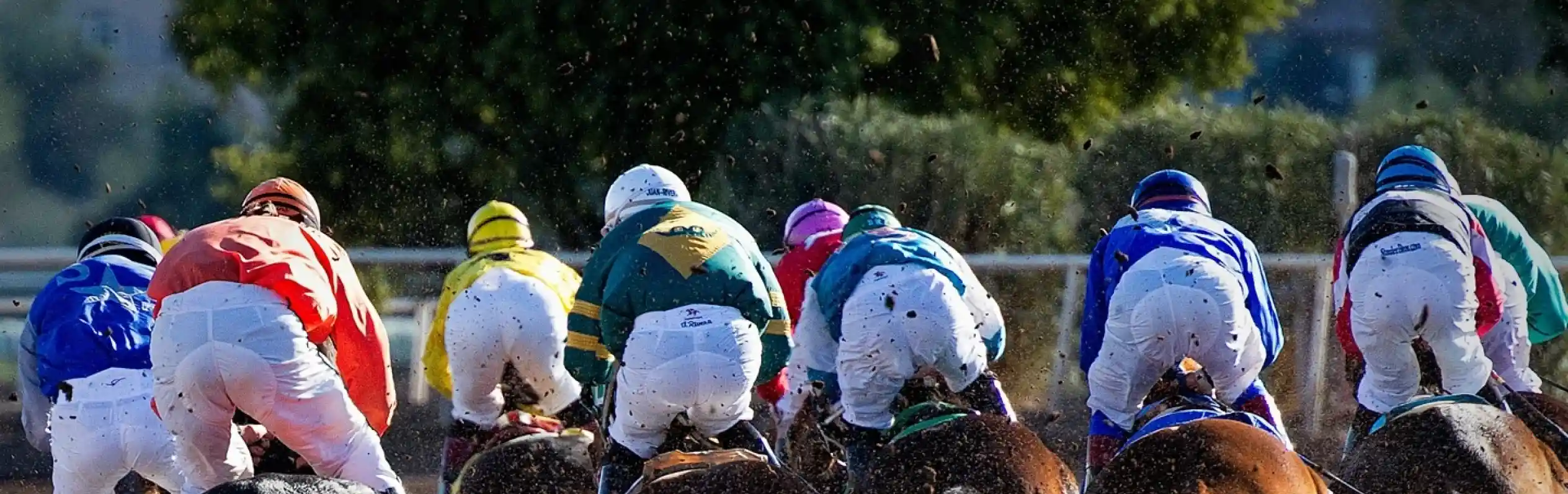 Jockeys in colorful silks riding galloping horses, kicking up dirt as they race down a track. The view is from behind, showcasing the dynamic movement and intensity of the horse race.