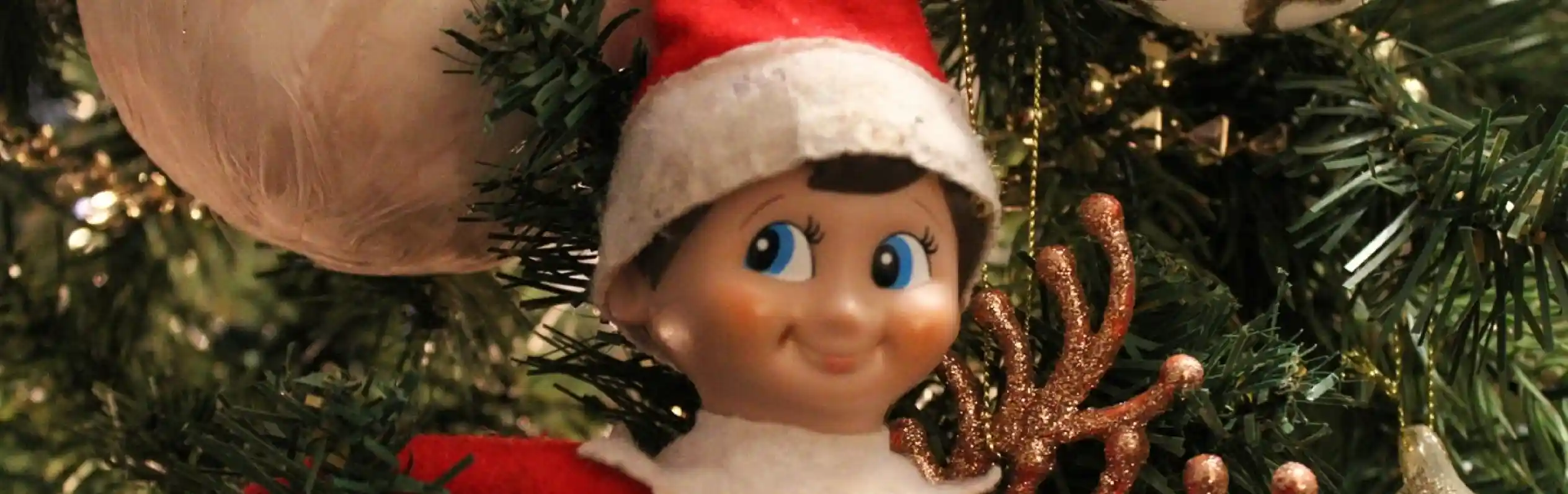 An elf doll wearing a red outfit and a white collar with a cheerful expression, posed among festive decorations on a Christmas tree.