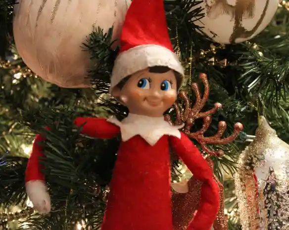 An elf doll wearing a red outfit and a white collar with a cheerful expression, posed among festive decorations on a Christmas tree.