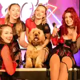 Five performers with vibrant outfits pose together on stage, smiling and making playful gestures. A fluffy dog sits in the center, adding charm to the group. Colorful stage lights are visible in the background.