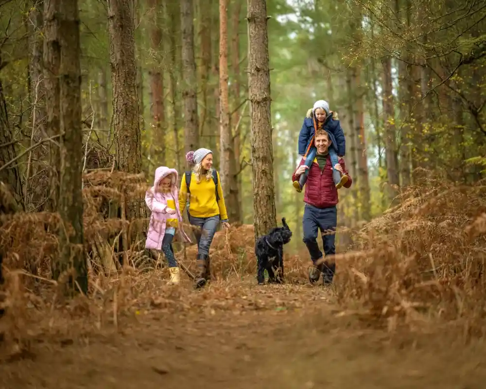 A family walks through a forest path, surrounded by trees and ferns. The parents are smiling, with one carrying a child on their shoulders, while another child walks beside them holding a dog. The children are dressed in colorful winter attire.