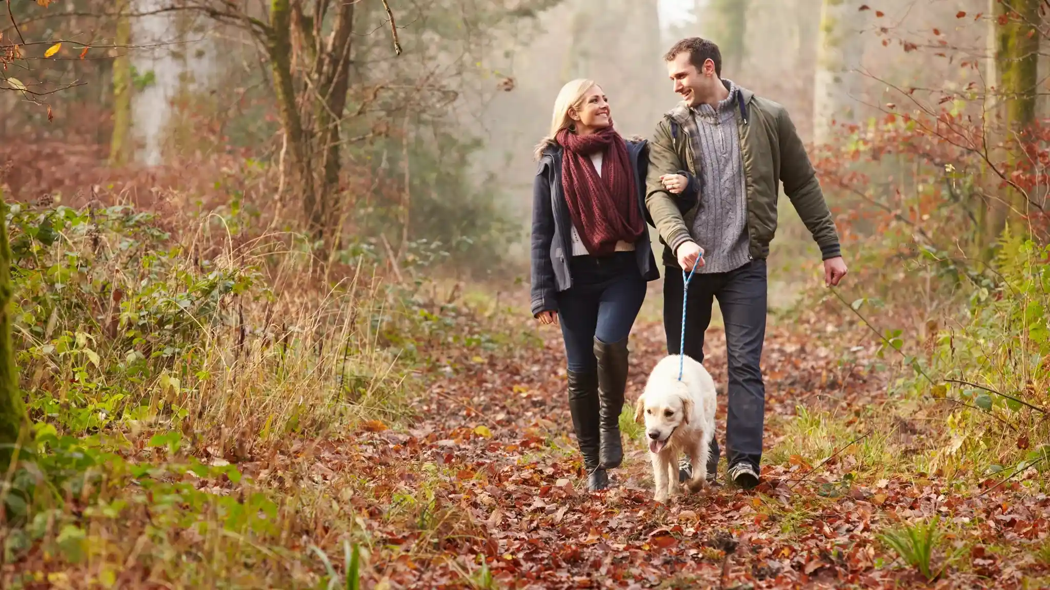 A man and woman stroll through a forest path covered in autumn leaves, smiling at each other while walking a golden retriever on a leash. The scene is framed by trees with muted sunlight filtering through the fog.