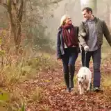 A man and woman stroll through a forest path covered in autumn leaves, smiling at each other while walking a golden retriever on a leash. The scene is framed by trees with muted sunlight filtering through the fog.