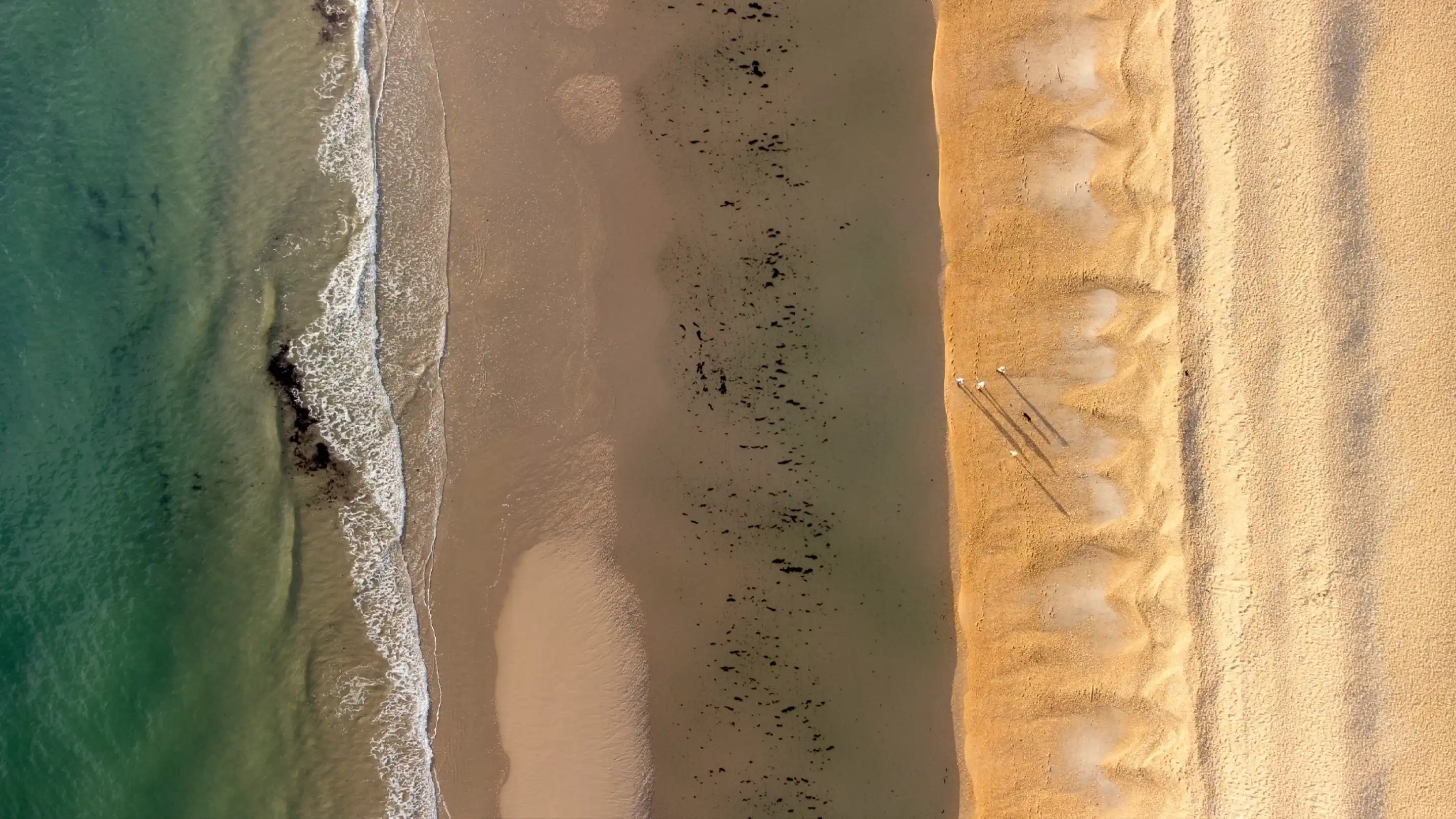 Aerial view of a beach featuring a dividing line between sand and water, with gentle waves lapping at the shore. Two figure silhouettes are seen walking along the beach.