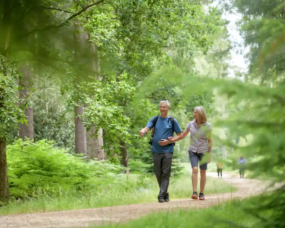 Two people walk along a gravel path in a lush green forest, surrounded by trees and ferns. The man gestures as he speaks, while the woman smiles, engaged in conversation.