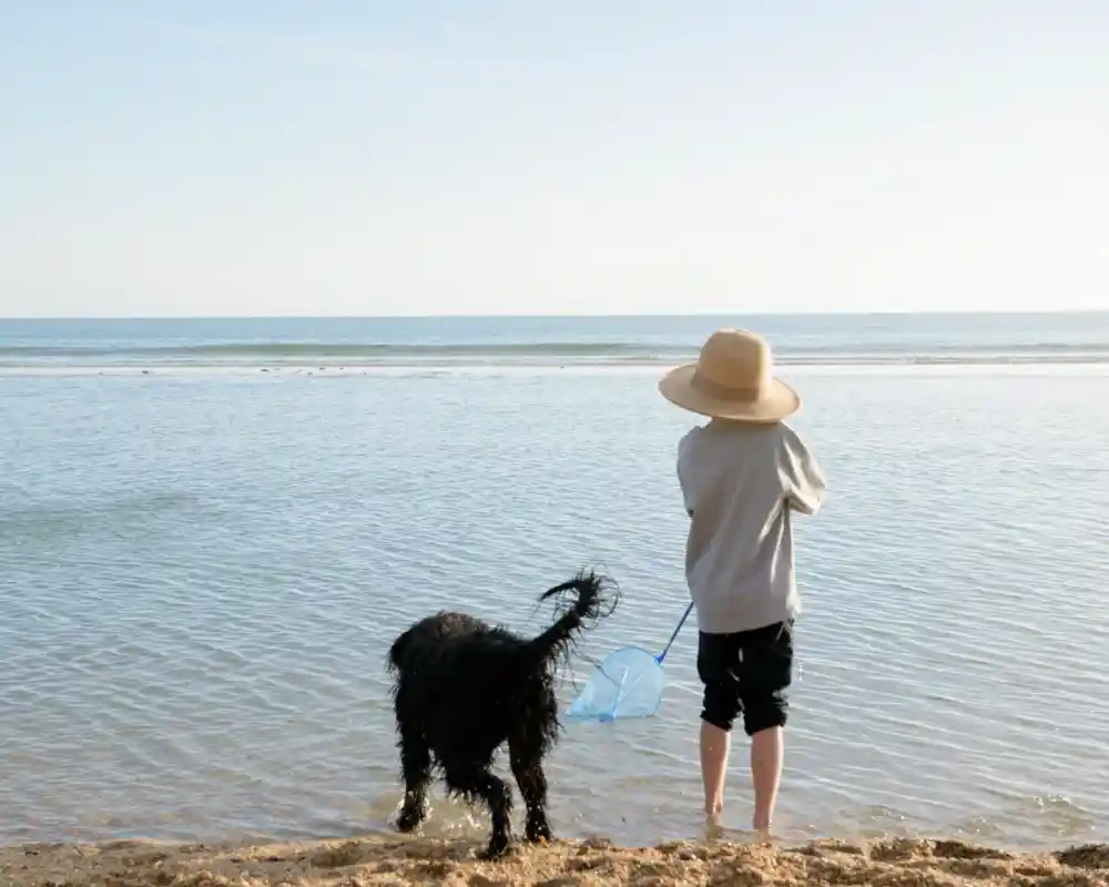 A child in a large straw hat stands at the edge of a shallow beach, holding a net and looking out at the calm water. A black dog is beside them, playfully splashing in the waves.