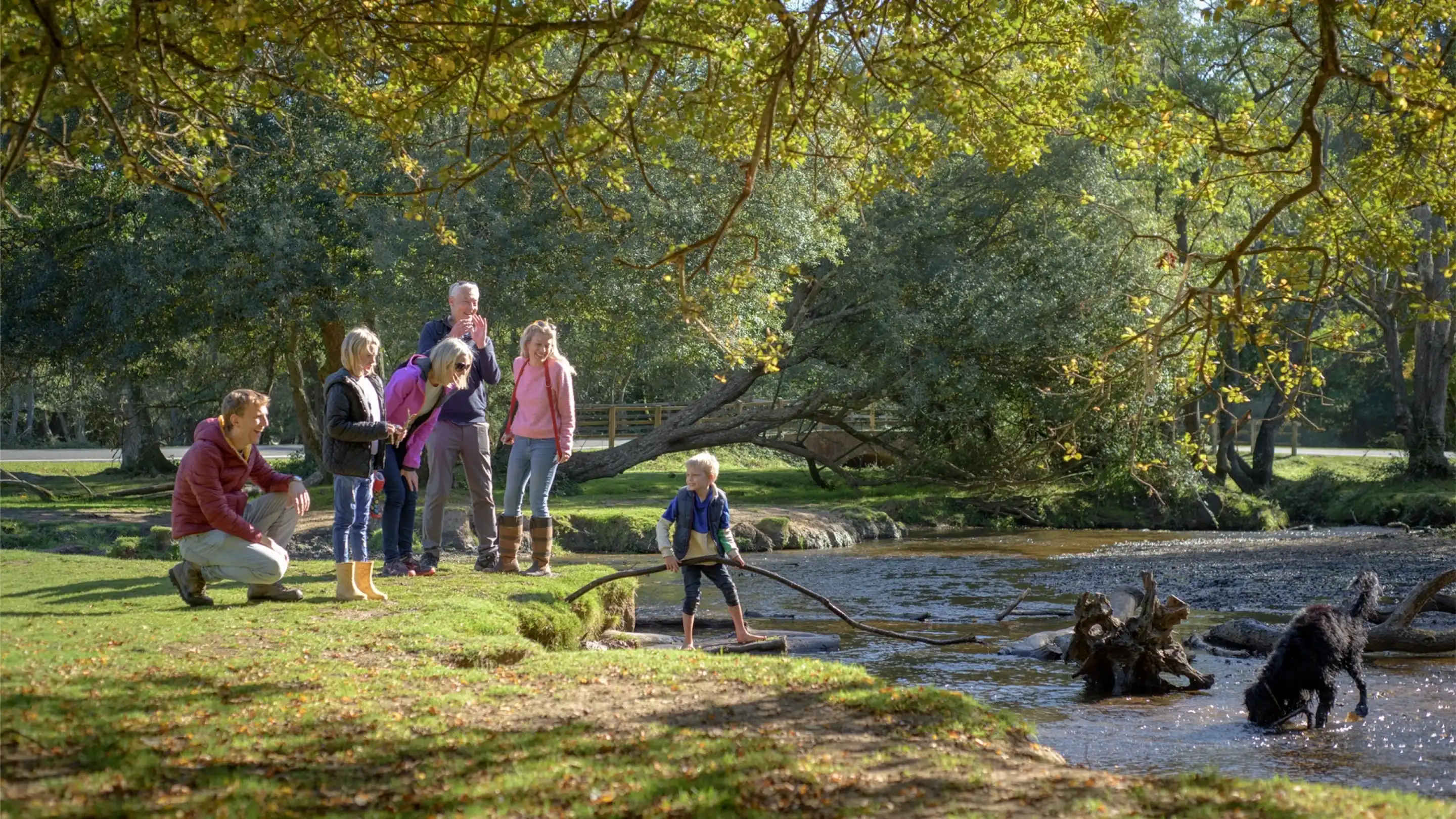 A family gathers by a peaceful stream in a park, with adults and children enjoying nature. Two dogs play in the water while a young boy stands on a log, and others watch and interact with each other under the shade of trees.