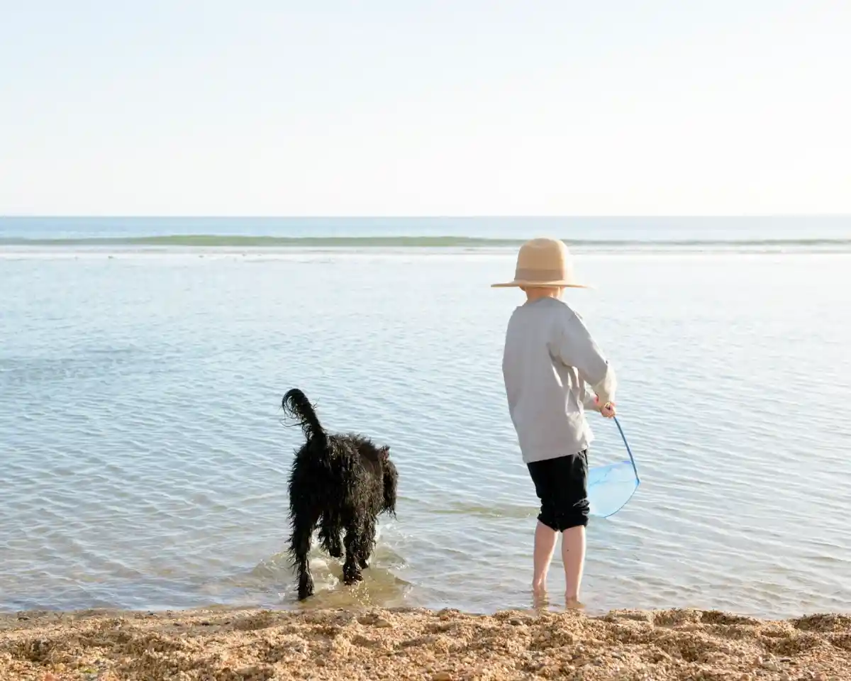 A child in a wide-brimmed hat stands at the edge of a calm sea, holding a net while playing with a black dog that wades in the water. The sun shines brightly in a clear sky.