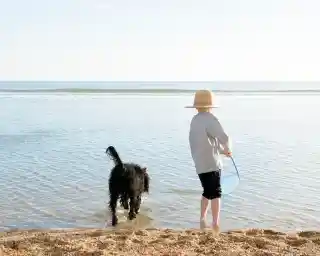 A child in a wide-brimmed hat stands at the edge of a calm sea, holding a net while playing with a black dog that wades in the water. The sun shines brightly in a clear sky.