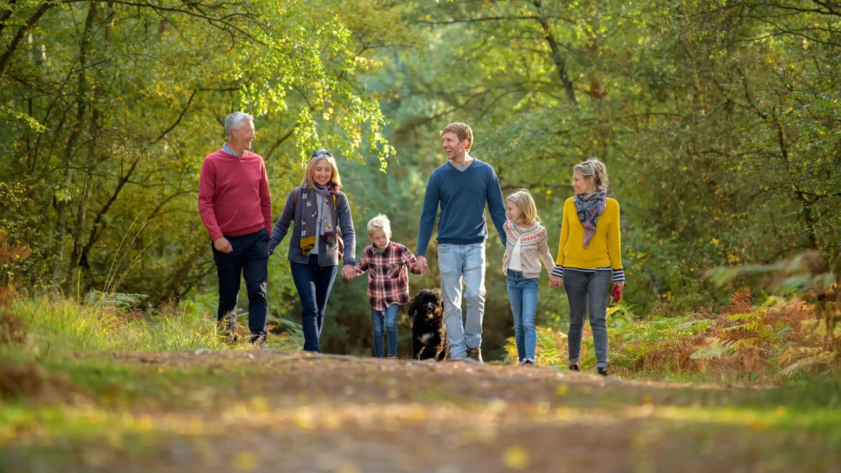 A family of six, including children and adults, walks along a forest path with a black dog. They are dressed in casual autumn clothing and surrounded by green trees and autumn foliage.
