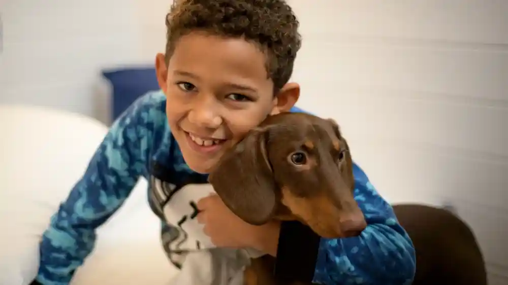 A young boy with curly hair smiles while hugging a brown dachshund. The boy is wearing a blue tie-dye shirt and is leaning close to the dog, who looks content.