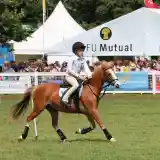 A young rider in a light blue shirt and black helmet rides a brown pony at an outdoor event, with a crowd and tents in the background. The pony is trotting on a grassy field.