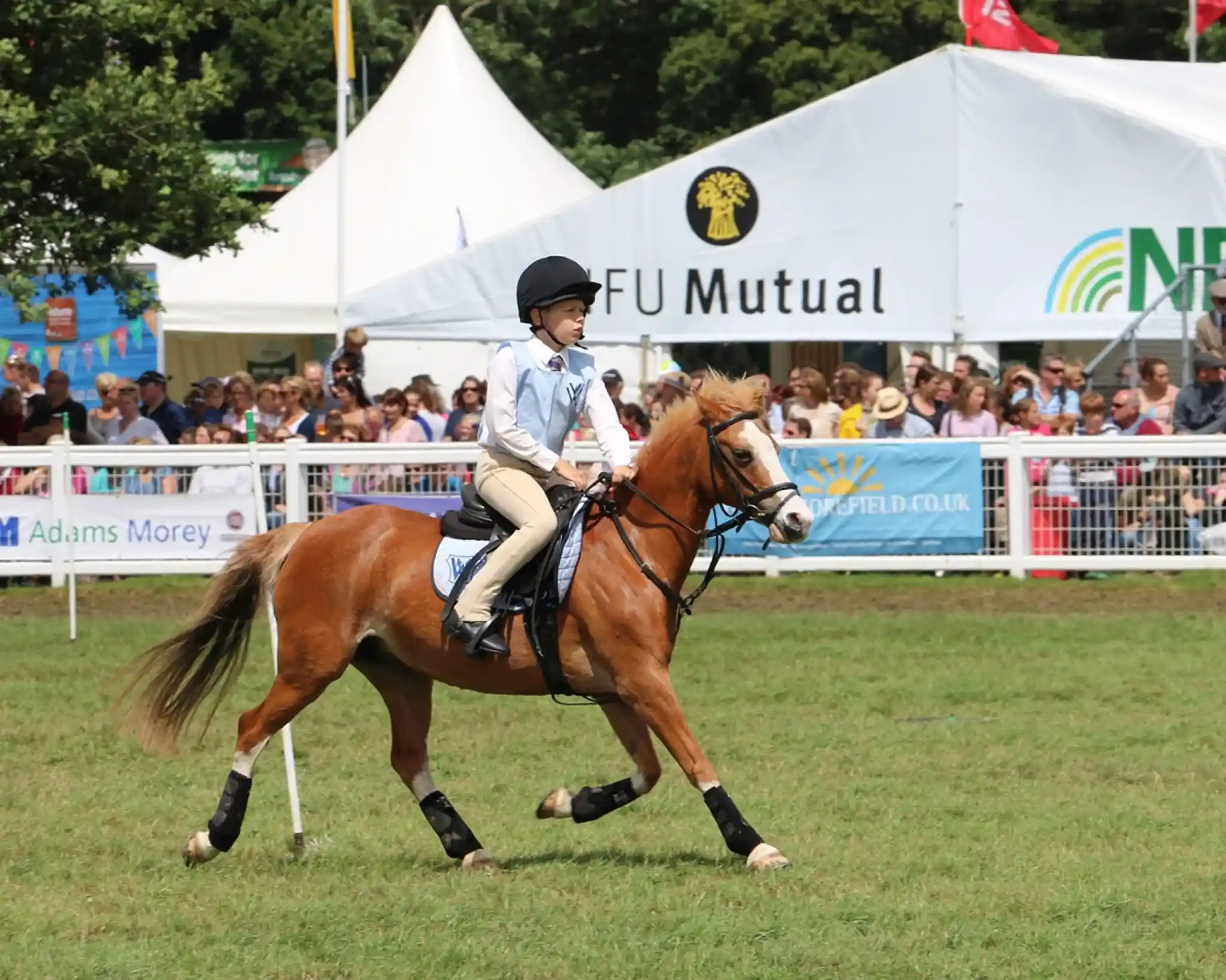 A young rider in a light blue shirt and black helmet rides a brown pony at an outdoor event, with a crowd and tents in the background. The pony is trotting on a grassy field.