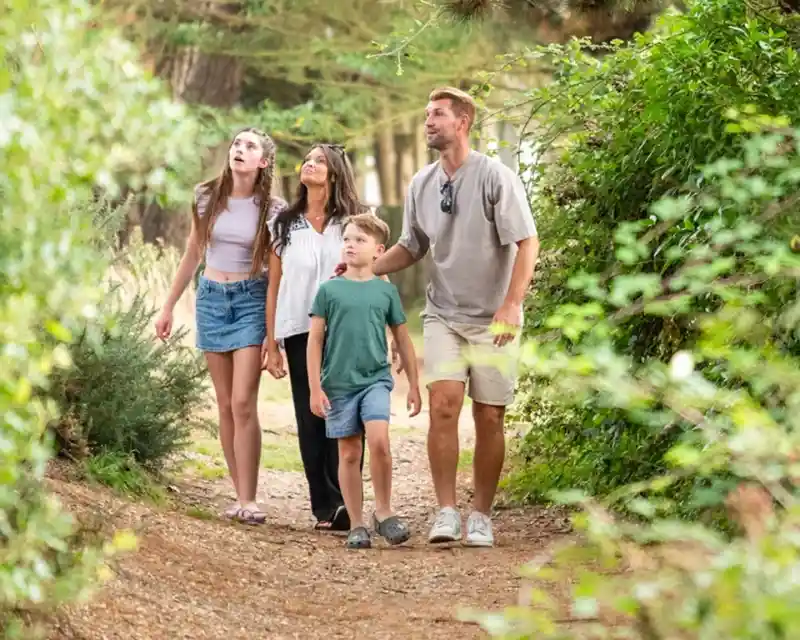 A family of four explores a wooded path, looking up in wonder. The parents stand close to their children, who appear curious. The setting is lush with greenery.