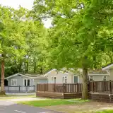 Modern wooden cabins with porches are nestled among lush green trees in a sunlit outdoor setting. A tree-lined path runs alongside the cabins, creating a serene atmosphere.