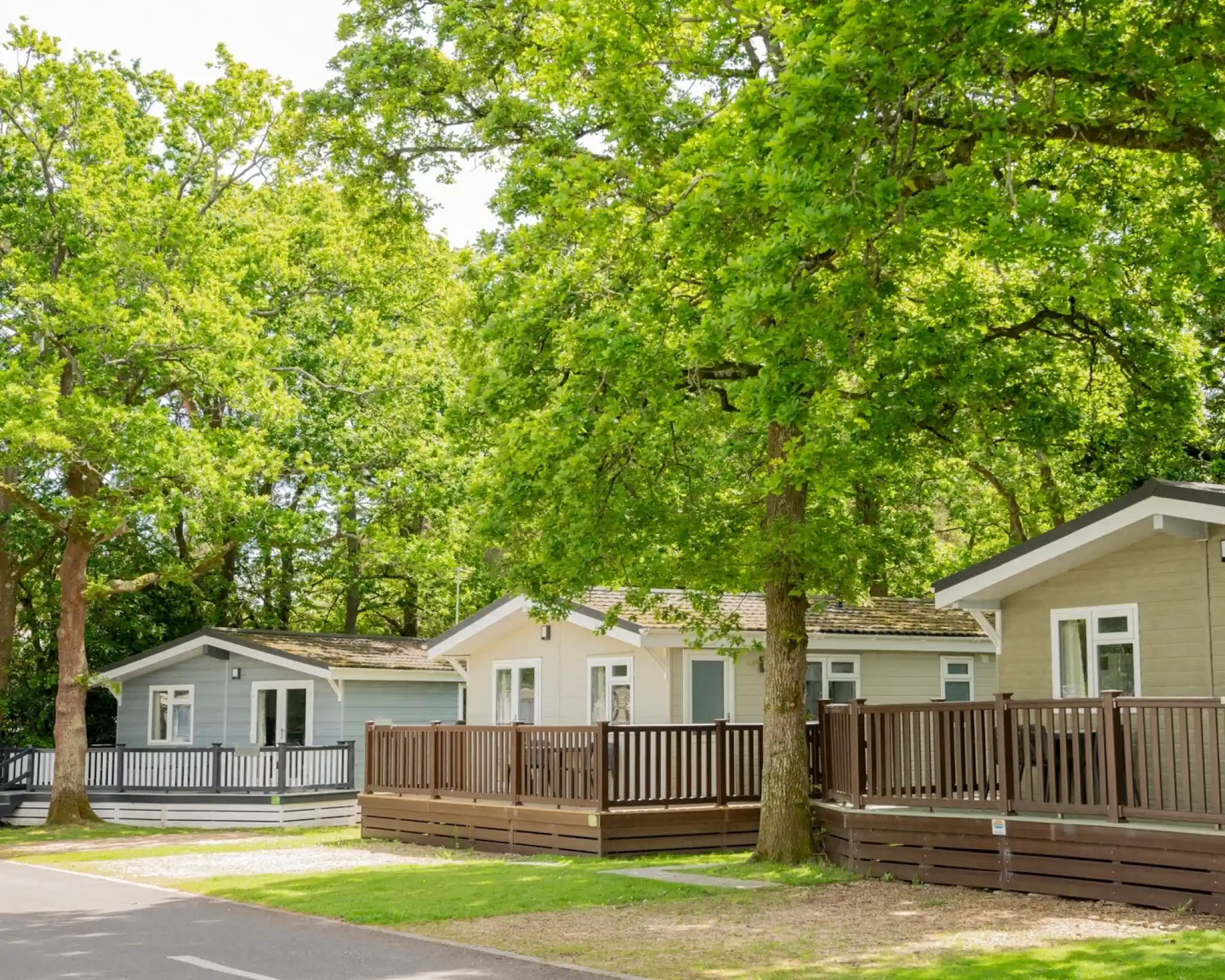 Modern wooden cabins with porches are nestled among lush green trees in a sunlit outdoor setting. A tree-lined path runs alongside the cabins, creating a serene atmosphere.