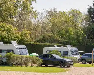 Several caravans are parked in a green, well-maintained area surrounded by shrubs. A black car is prominently displayed in the foreground, with a few trees and bushes in the background. Bright sunlight enhances the greenery of the scene.