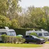 Several caravans are parked in a green, well-maintained area surrounded by shrubs. A black car is prominently displayed in the foreground, with a few trees and bushes in the background. Bright sunlight enhances the greenery of the scene.