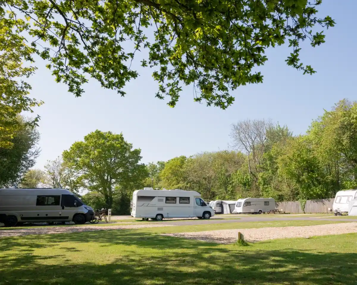 Several camper vans and recreational vehicles are parked along a grassy area, surrounded by lush trees under a clear blue sky.