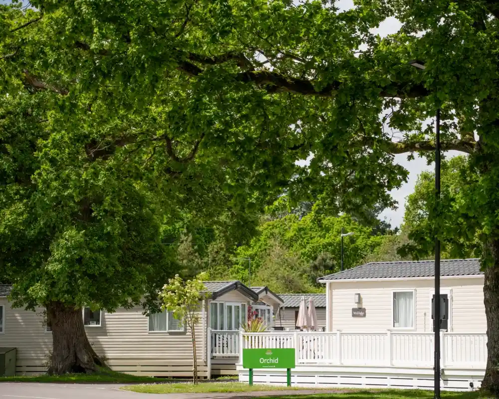 A quaint mobile home park with two homes visible, surrounded by lush green trees. A sign labeled "Orchid" is in the foreground, indicating the name of the area.