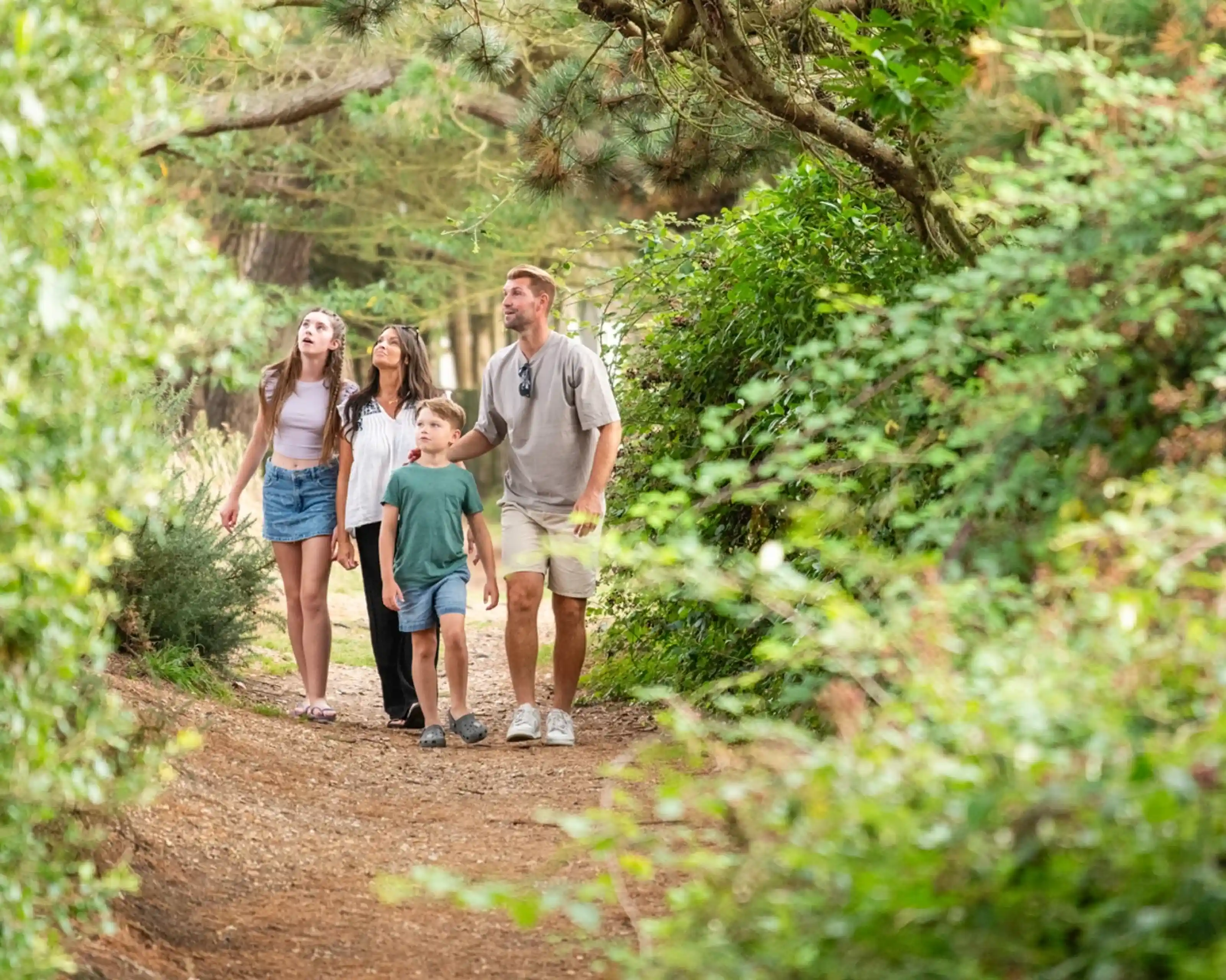 A family of four strolls along a wooded path, looking up at the trees. Two girls are dressed in casual summer outfits, while a boy and a man wear comfortable clothing. Lush greenery surrounds the trail, creating a serene atmosphere.
