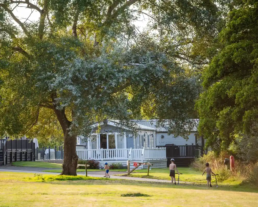 A white cabin nestled among trees with people walking nearby in a grassy area. The scene is illuminated by warm sunlight, creating a serene atmosphere.