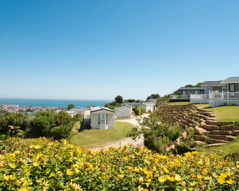 A scenic view of a coastal campsite featuring colourful flowers in the foreground, neatly arranged caravans on a hillside, and the ocean visible in the background under a clear blue sky.