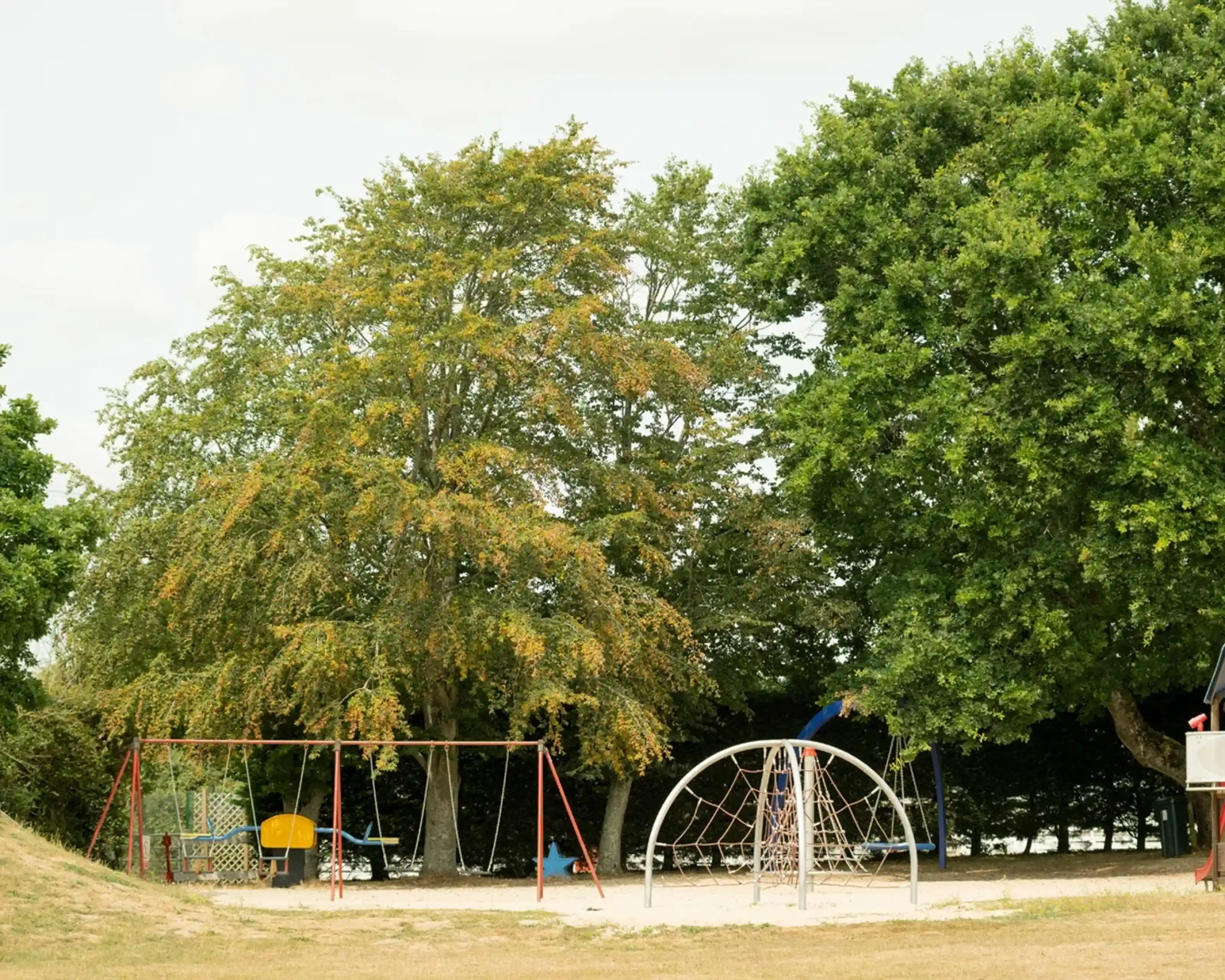 A playground featuring a swingset, climbing structure, and a large tree, surrounded by green grass and additional trees in the background.