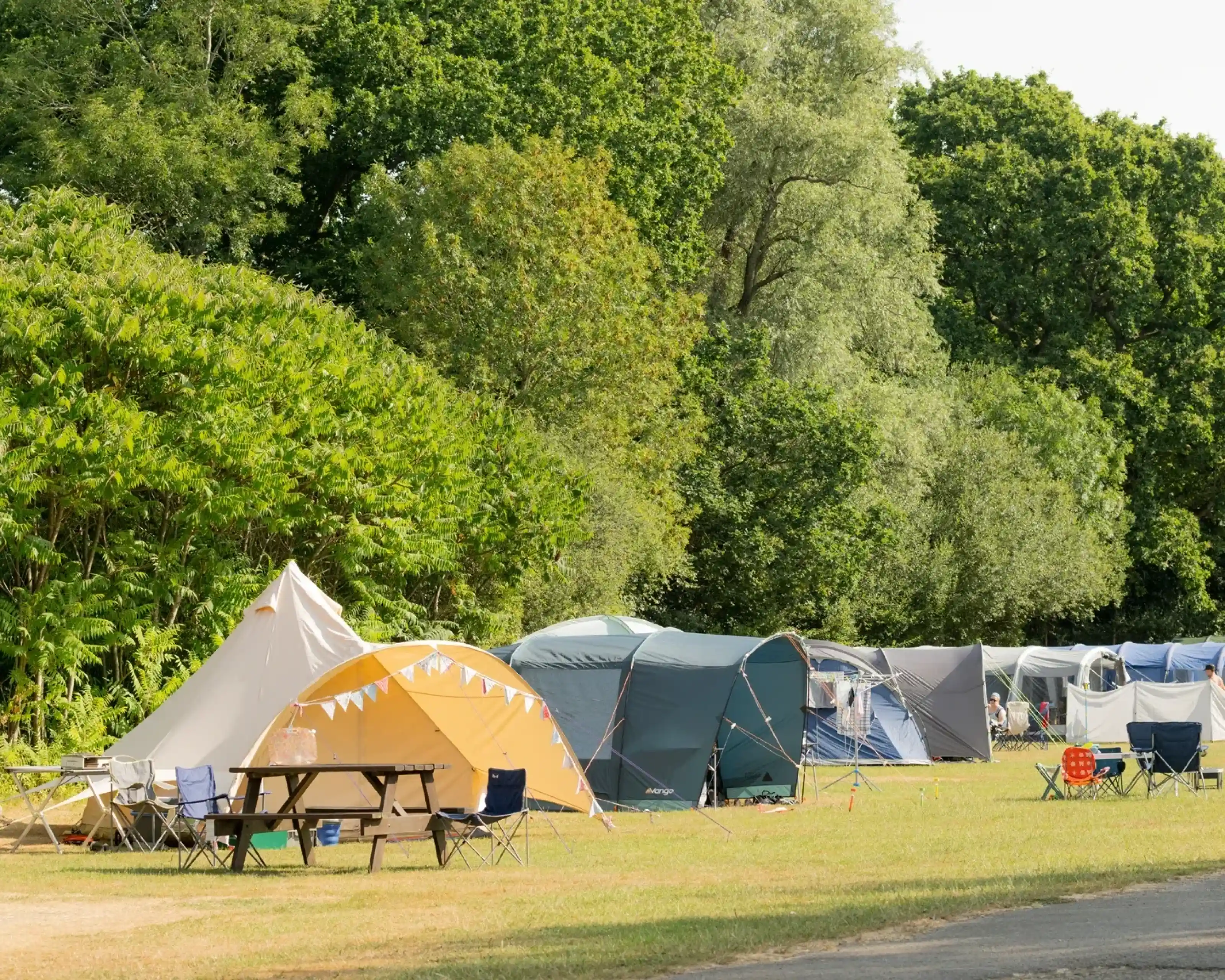 A row of tents set up on a grassy campsite, with green trees in the background. Some camping chairs are arranged near a picnic table.