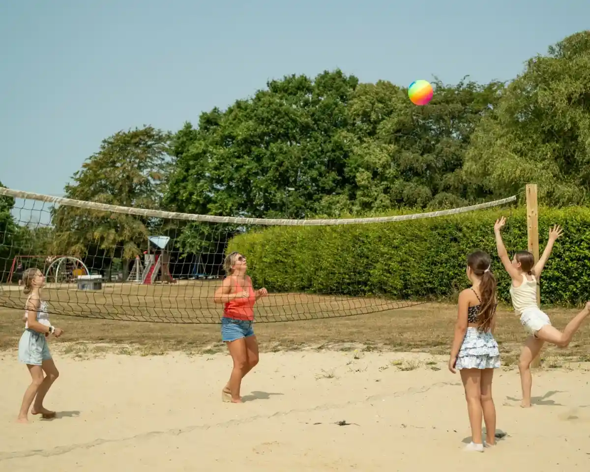 Four children play beach volleyball on a sandy court. One child jumps to hit a colorful beach ball while others watch. Lush greenery and playground equipment are visible in the background.