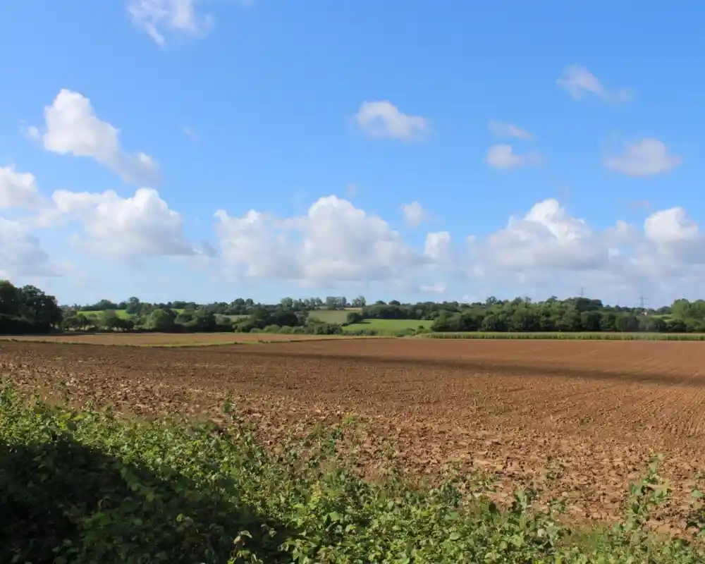 A wide landscape featuring freshly plowed farmland under a bright blue sky with fluffy white clouds. Lush green hills are seen in the background, and a line of trees borders the field.