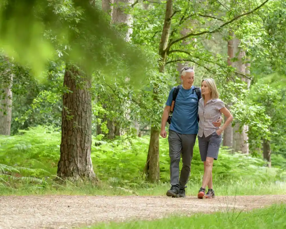 A couple walks hand in hand along a path through a lush green forest, surrounded by trees and ferns. They appear happy and engaged in conversation.