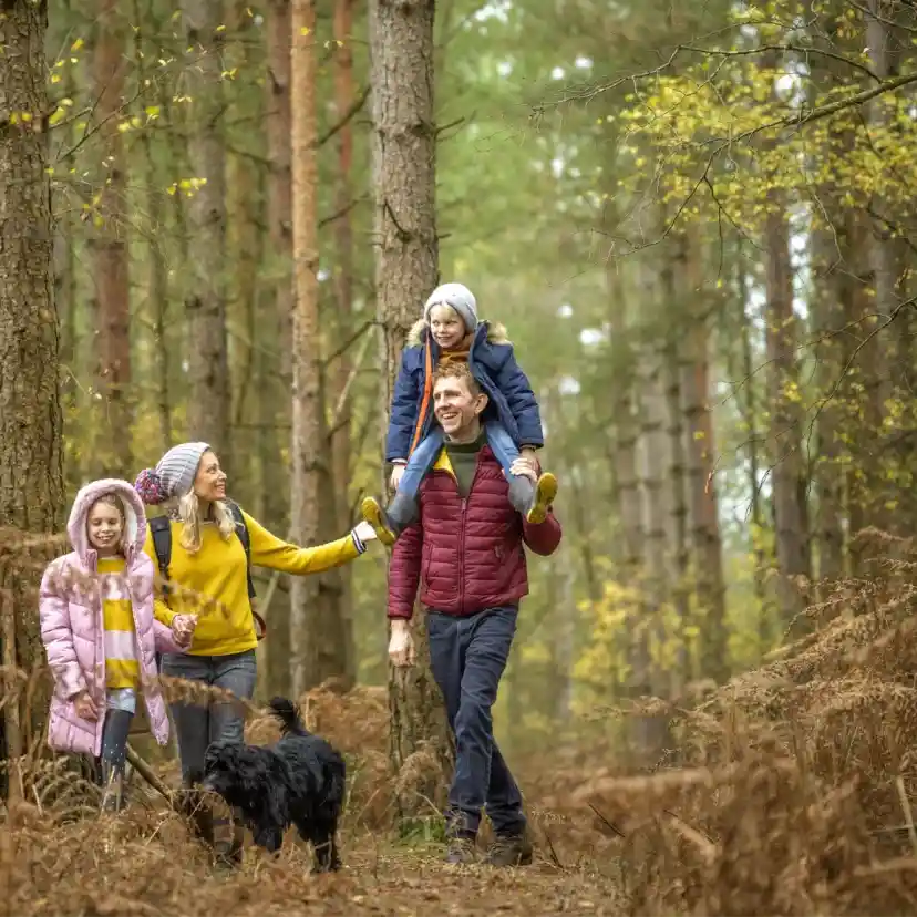A family of five walks through a forest path surrounded by tall trees and autumn foliage. Two children are on the father's shoulders, while another child and a woman are beside him. A black dog accompanies them. Everyone is dressed warmly in colourful jackets.